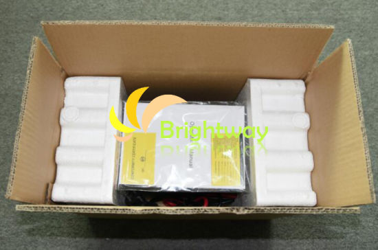 Inversor de onda senoidal pura de baixa frequência de 1kW
