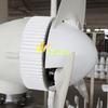 100W 200W 300W 400W Pequeno gerador de energia eólica